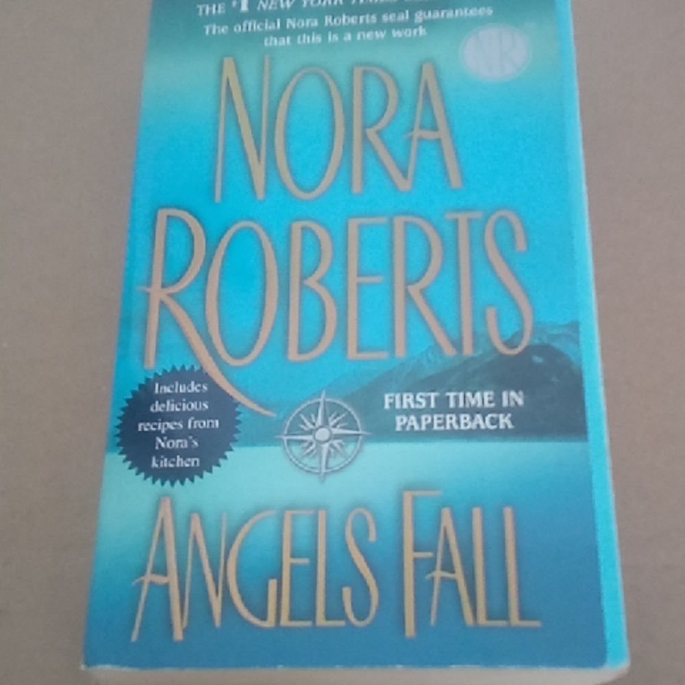 Angels Fall Paperback - Picture 1 of 3